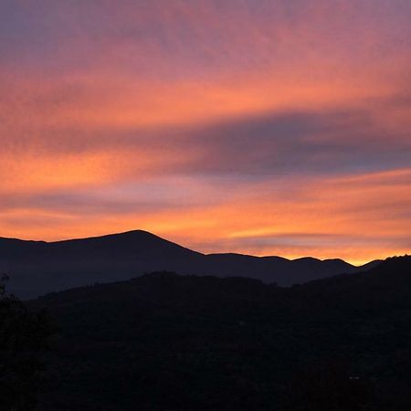 La Banditaccia Monticello Amiata 外观 照片