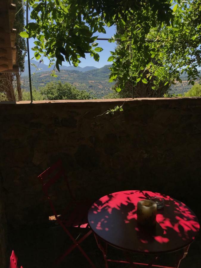 La Banditaccia Monticello Amiata 外观 照片