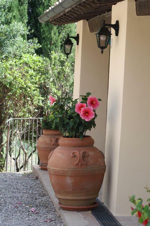 La Banditaccia Monticello Amiata 外观 照片
