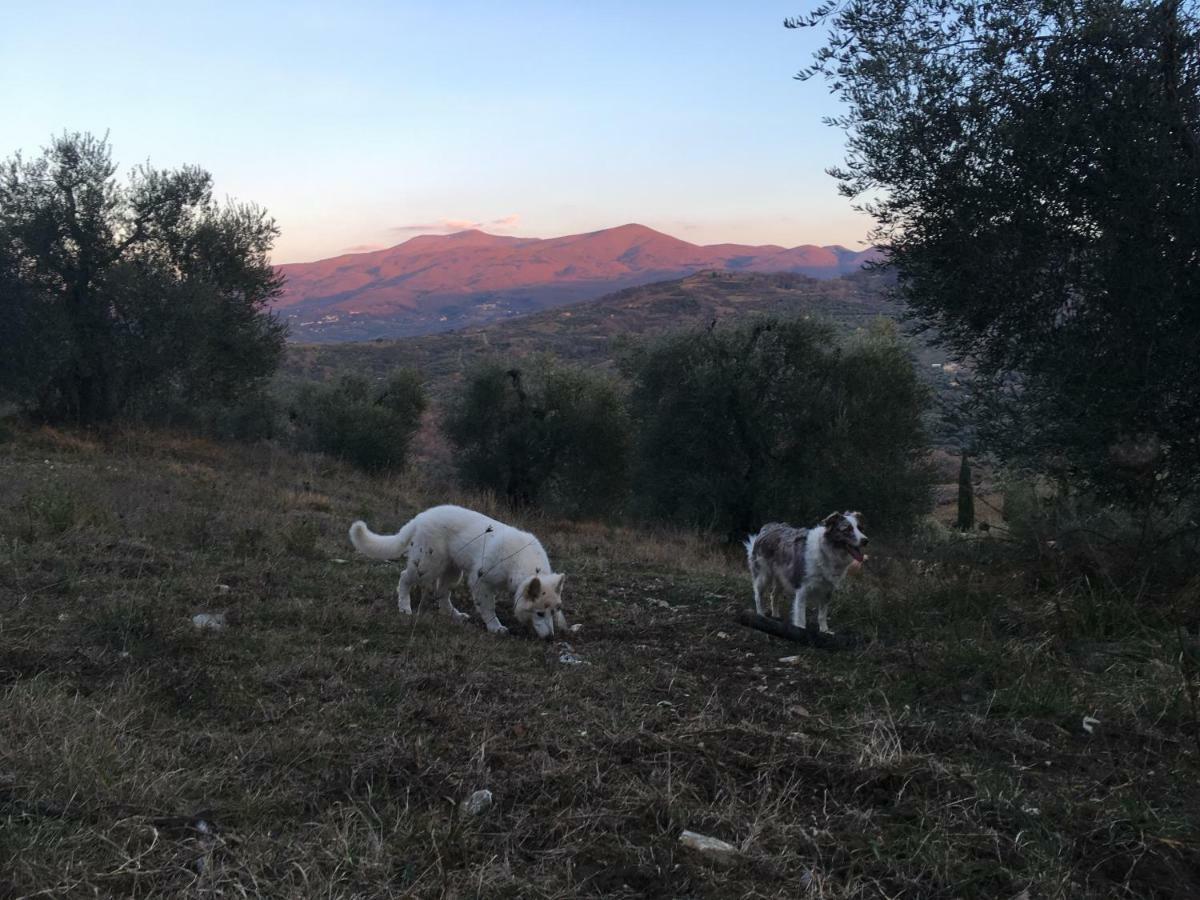 La Banditaccia Monticello Amiata 外观 照片