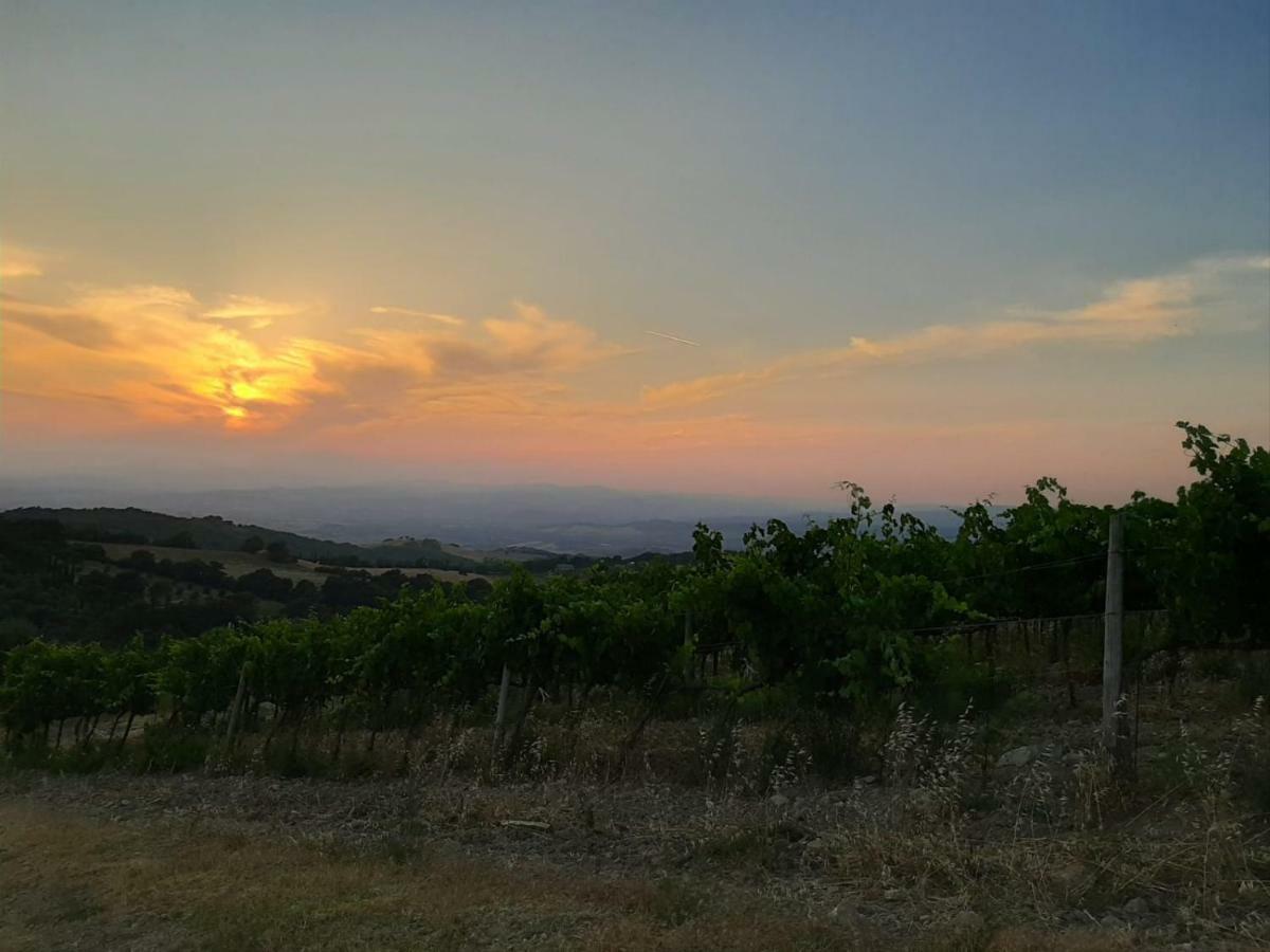 La Banditaccia Monticello Amiata 外观 照片