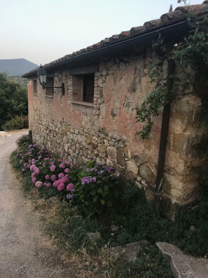 La Banditaccia Monticello Amiata 外观 照片