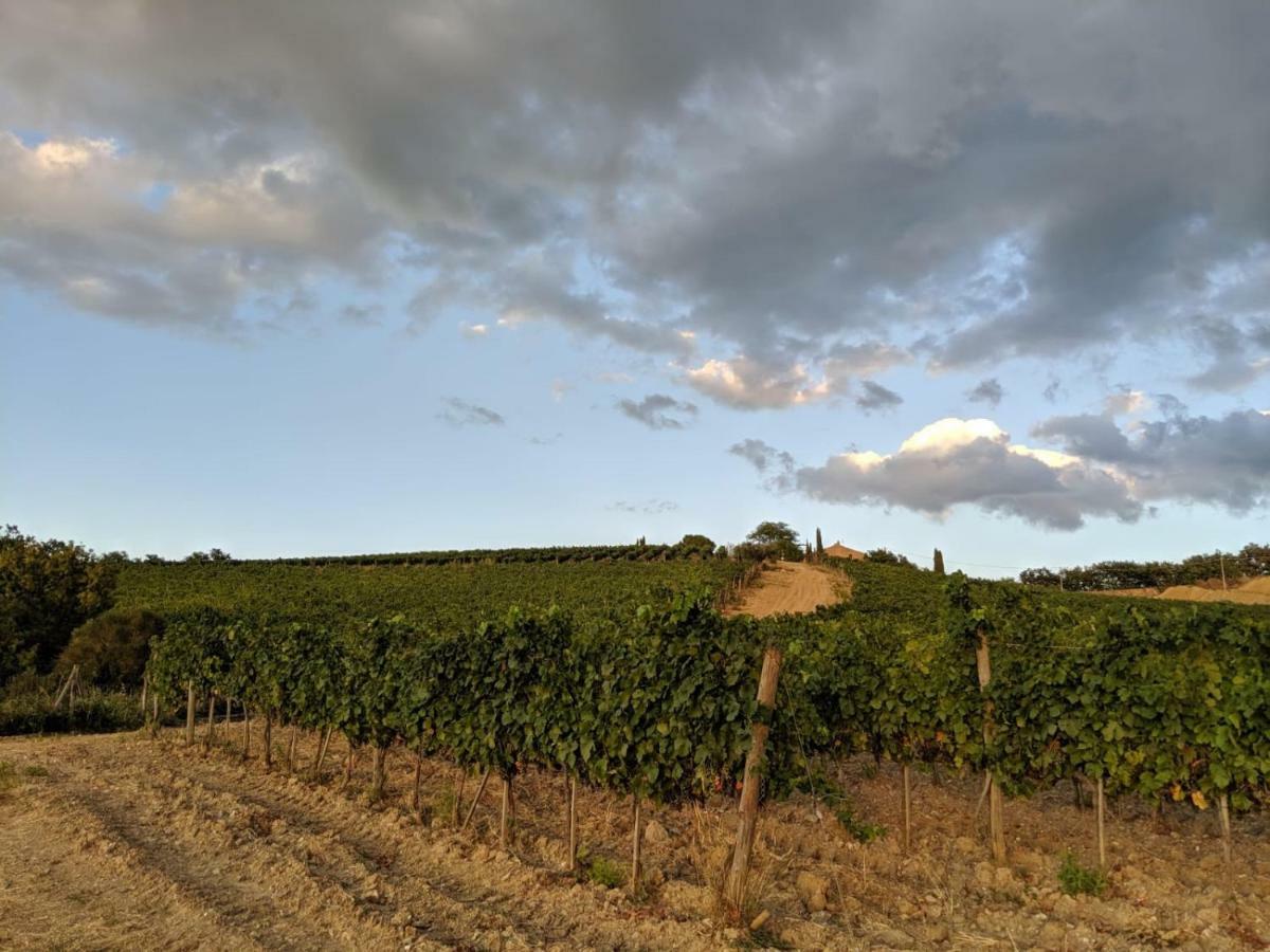 La Banditaccia Monticello Amiata 外观 照片