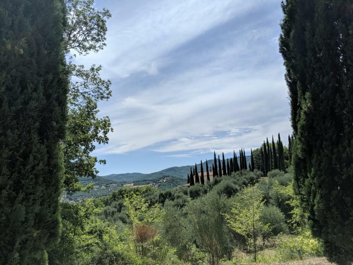 La Banditaccia Monticello Amiata 外观 照片