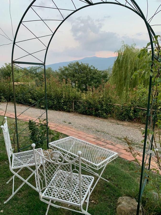 La Banditaccia Monticello Amiata 外观 照片
